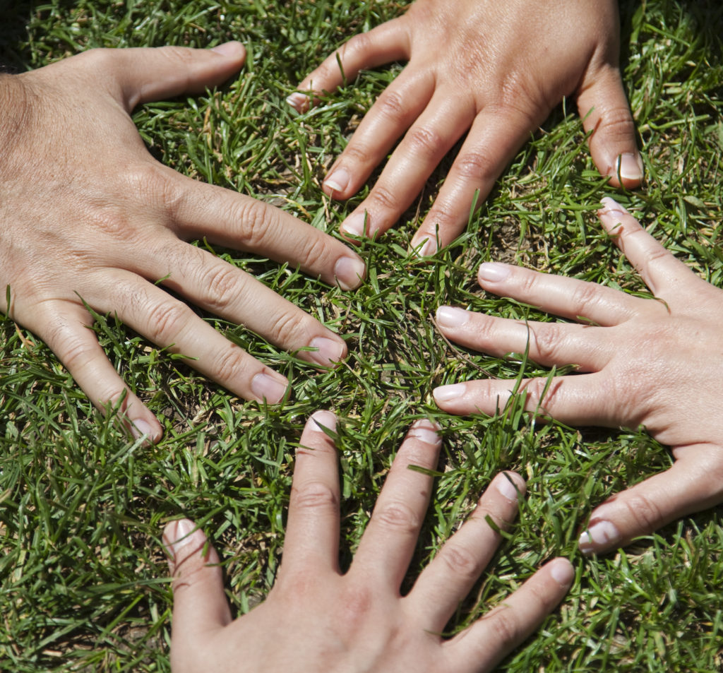 Hands on Grass - Core Values Page