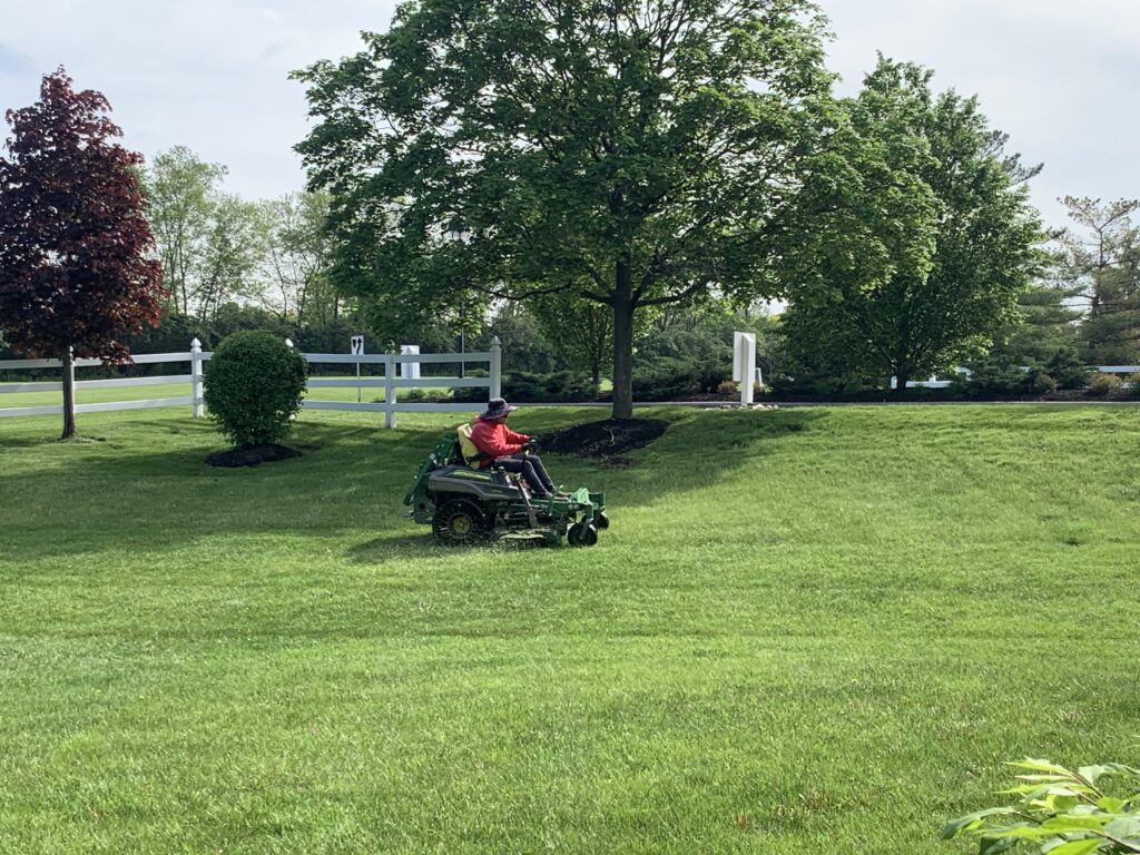 Lawn Mowing & Edging