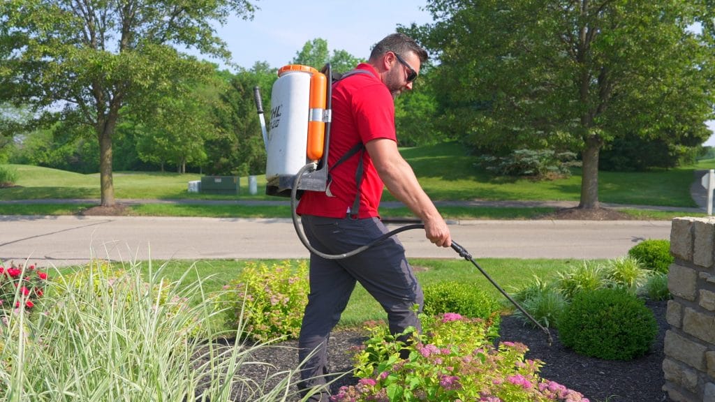 Pest & Disease Management